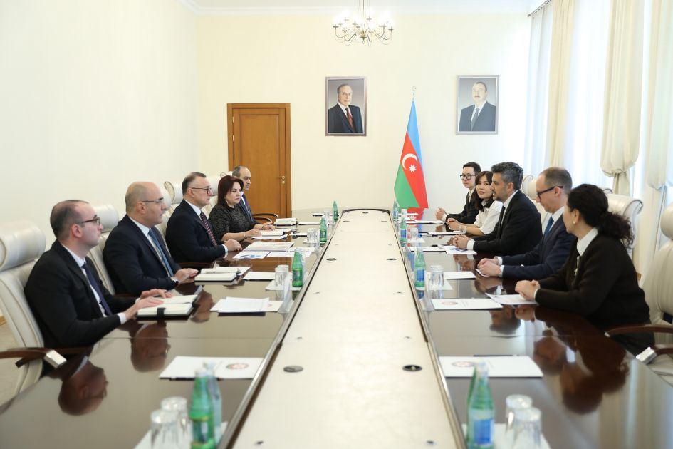 səhiyyə-nazirliyində-beynəlxalq-əczaciliq-sirkətinin-numayəndə-heyəti-ilə-gorus-olub  