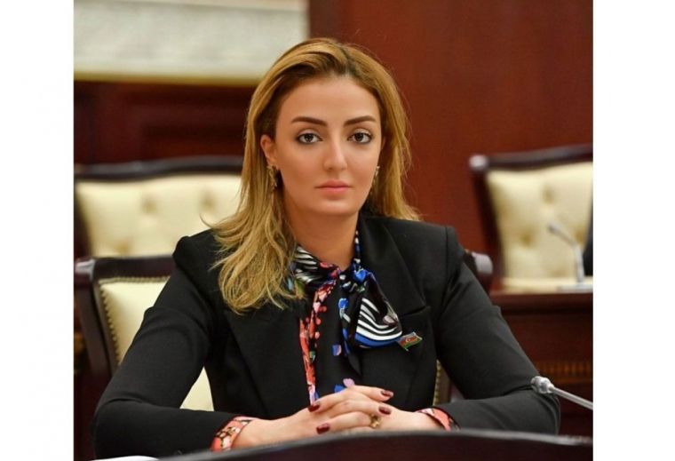 antimilli-quvvələr-dezinformasiya-kampaniyalarinda-alət-kimi-istifadə-olunur