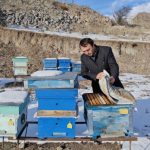 otuz-illik-həsrətin-sirin-bəhrəsi:-kəlbəcərdə-qədim-ariciliq-ənənələri-yenidən-dircəlir